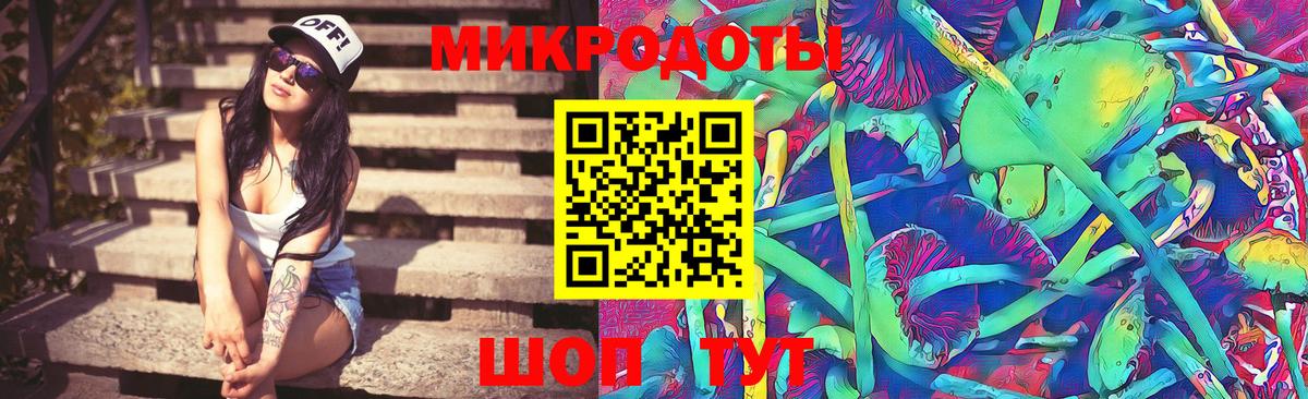 Псилоцибиновые грибы мицелий Ялта