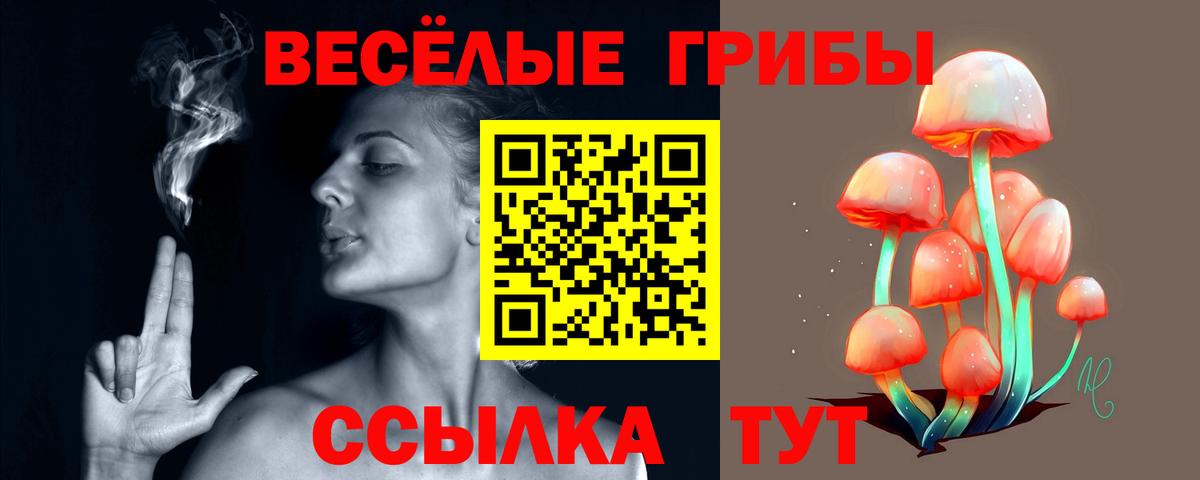 Ялта  Галлюциногенные грибы Psilocybine cubensis  закладки  Вход с VPN 